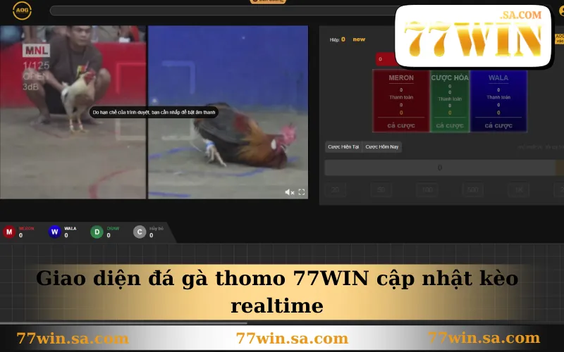 Giao diện đá gà thomo 77WIN cập nhật kèo realtime