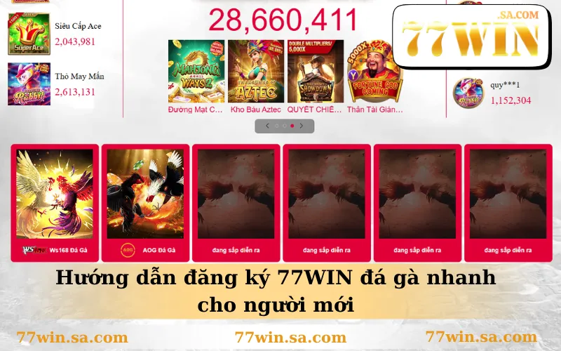 Hướng dẫn đăng ký 77WIN đá gà nhanh cho người mới